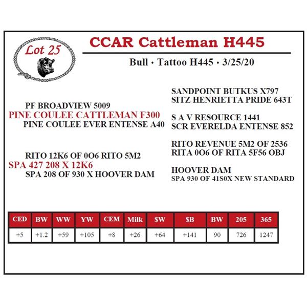 CCAR Cattleman H445