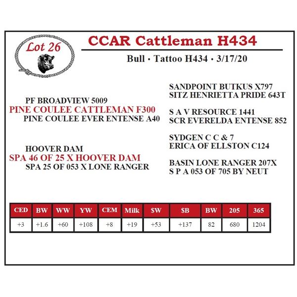 CCAR Cattleman H434