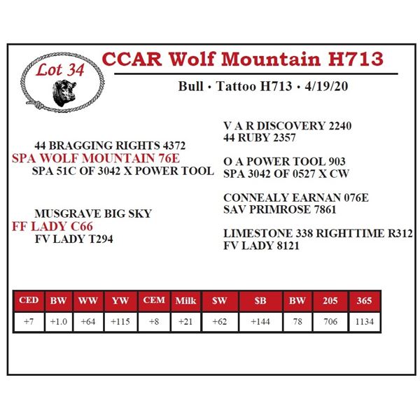 CCAR Wolf Mountain H713