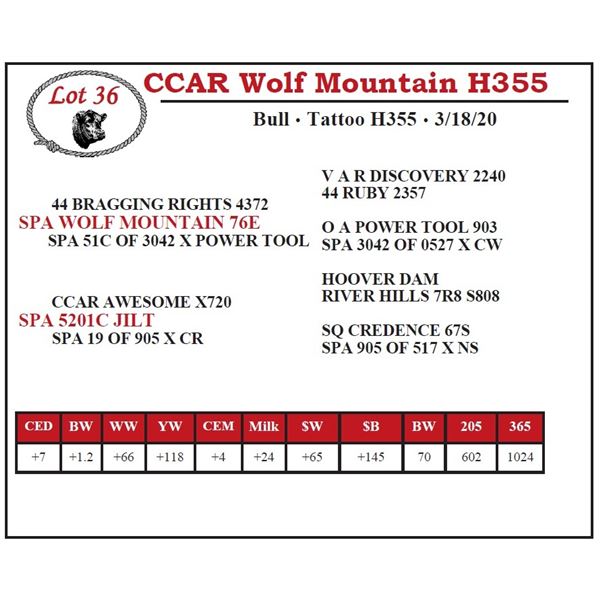 CCAR Wolf Mountain H355