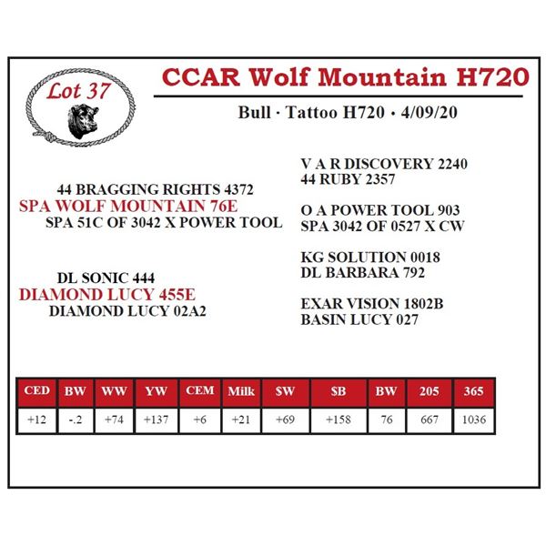 OUT OF SALE - CCAR Wolf Mountain H720