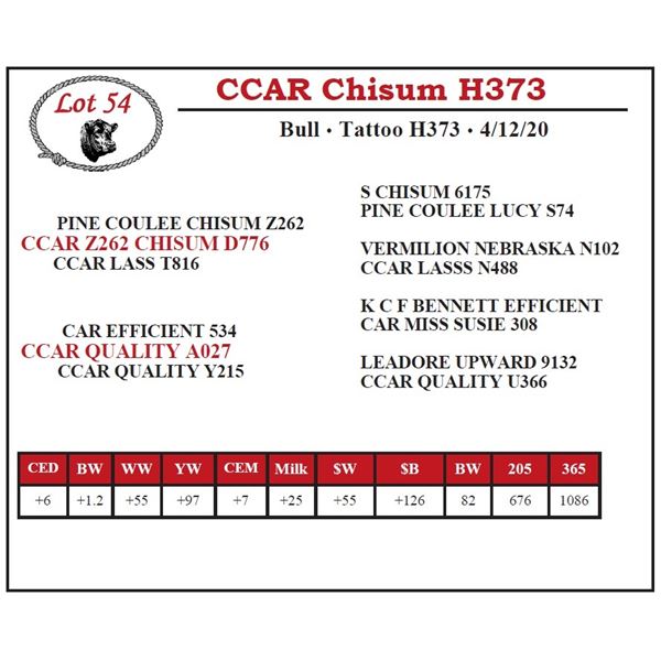 CCAR Chisum H373