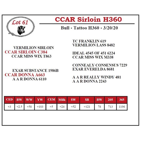 CCAR Sirloin H360