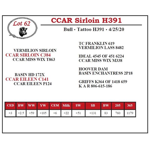 CCAR Sirloin H391