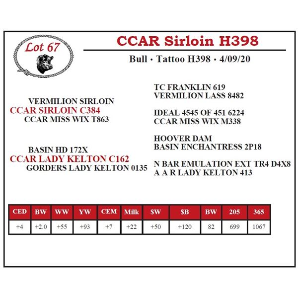 CCAR Sirloin H398