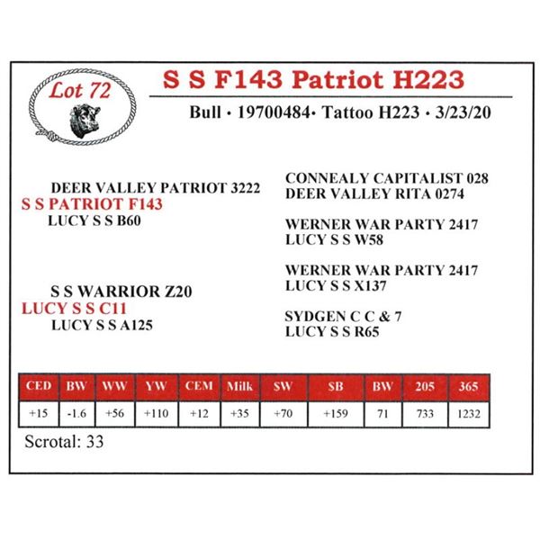 S S F143 Patriot H223