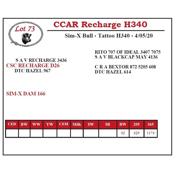 CCAR Recharge H340