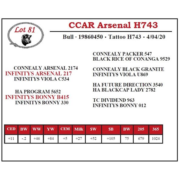 OUT OF SALE - CCAR Arsenal H743