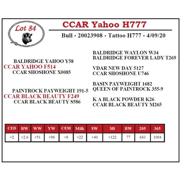 CCAR Yahoo H777