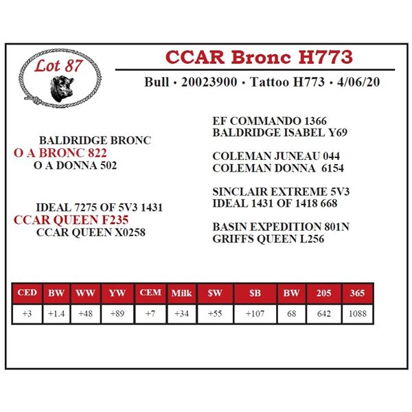 CCAR Bronc H773