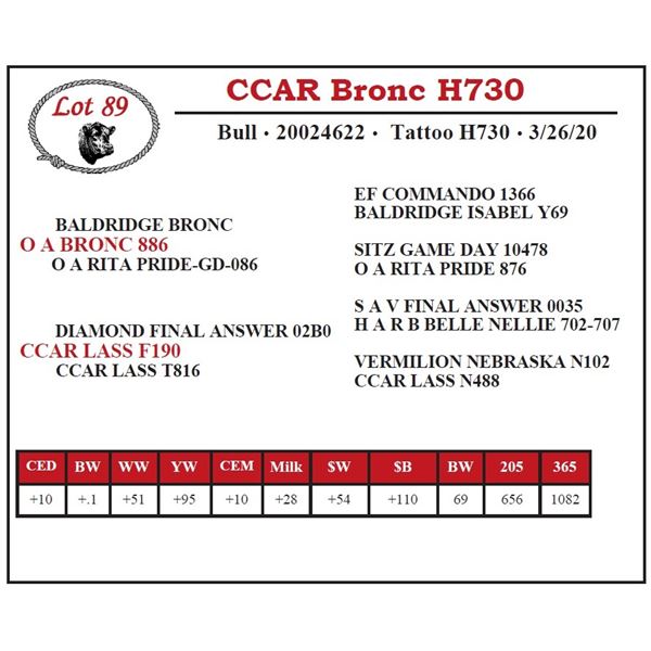 CCAR Bronc H730