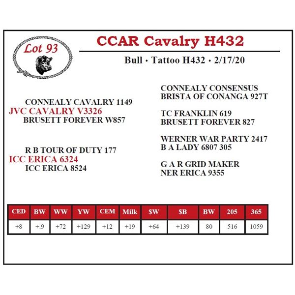 CCAR Cavalry H432