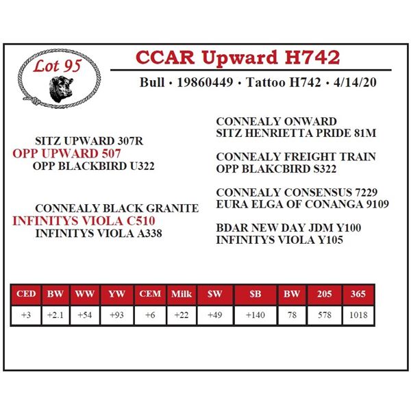 CCAR Upward H742