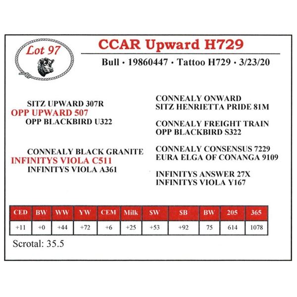 CCAR Upward H729