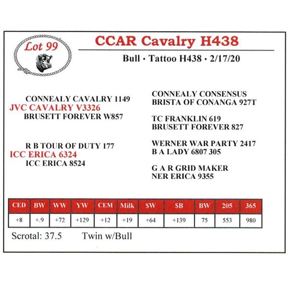 CCAR Cavalry H438
