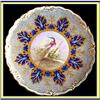 Image 1 : COALPORT CABINET PLATE HANDPAINTED BIRD #1741258