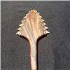Image 1 : (2) 8 X 3 3/4'' Hawaiian Lei O Mano Made of Koa with Tiger Shark Teeth