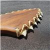 Image 5 : Qty 2 Hawaiian Lei O Mano Koa Wood w/ Tiger Shark Teeth 8" X 3 3/4''