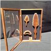 Image 4 : Shadow Box with Hawaiian Weapons, All Koa