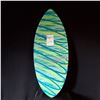 Image 1 : New Zap Skimboards Ace 50 Skimboard #522 & 4 Zap Hats