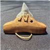 Image 2 : Hawaiian Shark Tooth Knife & Niho Oki Hand Crafted by Lynn Gephart