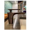 Image 2 : Bronze Single-Handle Lavatory Faucet, Sonic Water Flossing System & Bidet