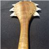Image 2 : 18 x 3'' Pahoa Club Koa with Tiger Shark Teeth