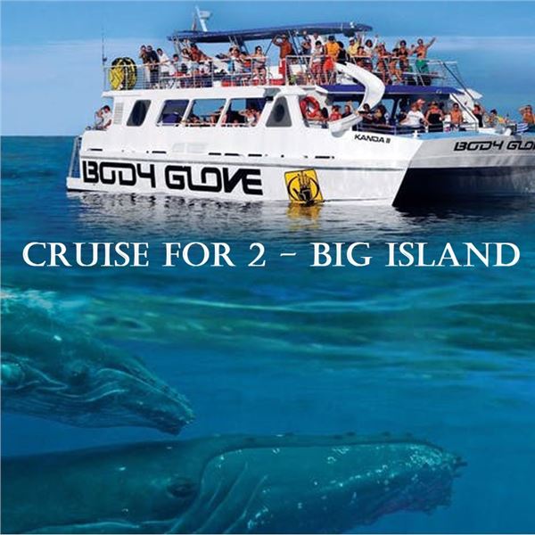 Deluxe Snorkel BBQ & Dolphin Watch Kona from Body Glove Cruises for 2