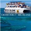 Image 1 : Deluxe Snorkel BBQ & Dolphin Watch Kona from Body Glove Cruises for 2