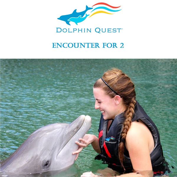 Dolphin Quest Encounter for 2 (Oahu)