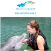 Image 1 : Dolphin Quest Encounter for 2 (Oahu)
