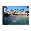 Image 2 : Dolphin Quest Encounter for 2 (Oahu)