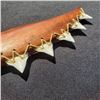 Image 2 : 12'' Hawaiian Knife Koa with Tiger Shark Teeth