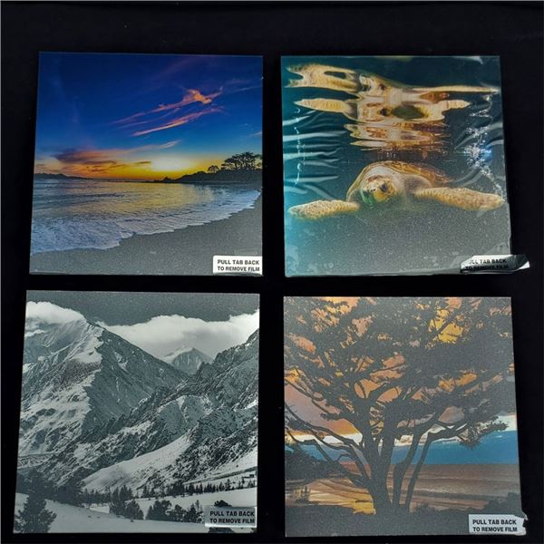 (4) metal framed prints 10 x 10'' by Aaron Chang, New