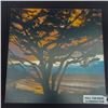 Image 2 : (4) metal framed prints 10 x 10'' by Aaron Chang, New