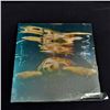 Image 3 : (4) metal framed prints 10 x 10'' by Aaron Chang, New