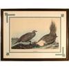 Image 1 : Robert Havell, ?Cock of the Plains?, wildlife, #1741300