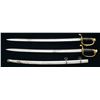 Image 2 : 2 FRENCH IMPORT US M1850 FOOT OFFICER TYPE SABERS