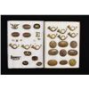 Image 2 : CIVIL WAR TO INDIAN WAR PLATES & INSIGNIA.