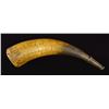 Image 1 : FINE REVOLUTIONARY WAR CARVED POWDER HORN 1776