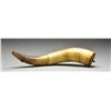 Image 1 : MEXICAN WAR PERIOD NAVAL POWDER HORN OF