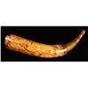 Image 2 : PHILIP BEDINGER MAP HORN 1756.
