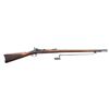 Image 1 : SPRINGFIELD 1873 TRAPDOOR RIFLE.