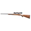 Image 3 : RUGER 77/17 & 77/22 BOLT ACTION RIFLES.