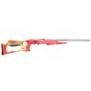 Image 1 : RUGER MODEL 10/22 USA SHOOTING TEAM SEMI AUTO