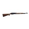 Image 4 : RUGER 10/22 & REMINGTON NYLON 66 SEMI AUTO RIFLES.