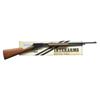 Image 2 : ROSSI & STEVENS RIMFIRE RIFLES.
