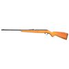 Image 3 : 6 RIMFIRE BOLT ACTION RIFLES.