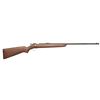 Image 4 : 6 RIMFIRE BOLT ACTION RIFLES.