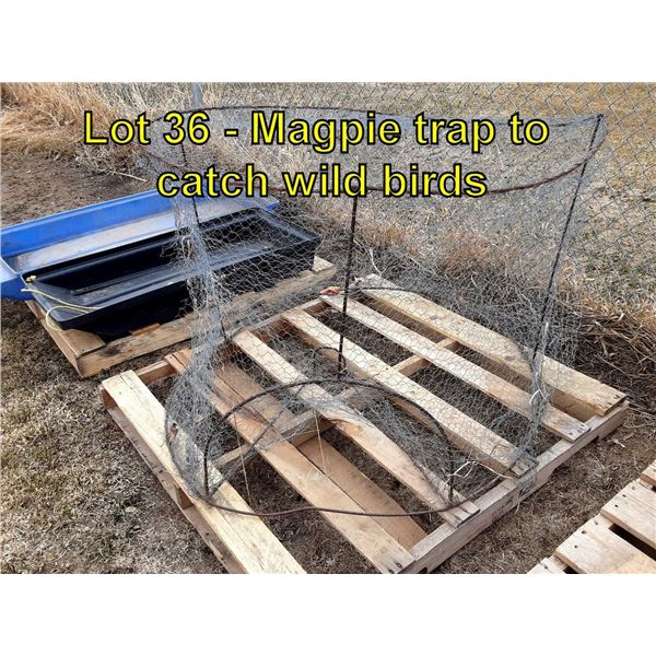 Magpie trap to catch wild birds